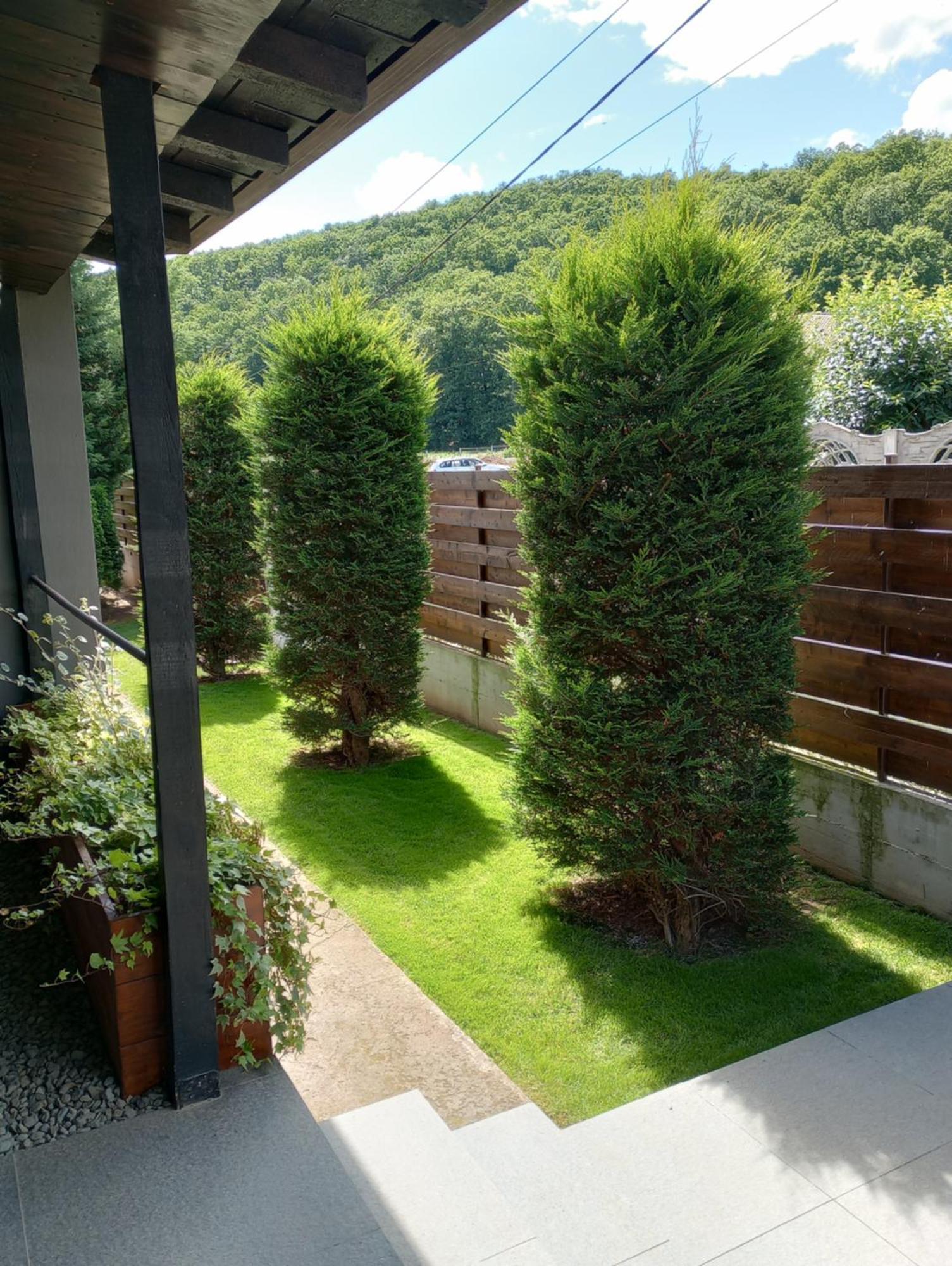 Vila Gosen Sard Экстерьер фото